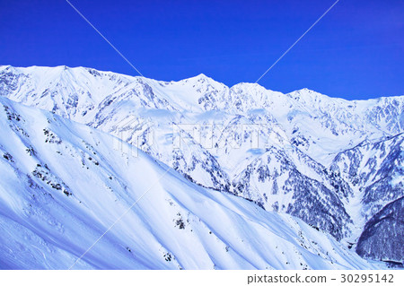 冬白白山 30295142