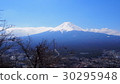 Mount Fuji  30295948