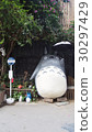Totoro 30297429