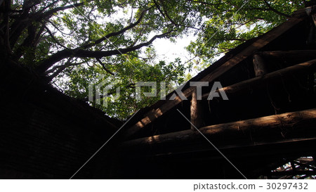 Anping tree store Anping tree store 30297432