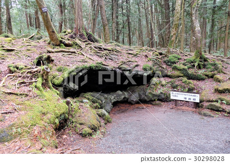 Ice Cave Entrance 30298028