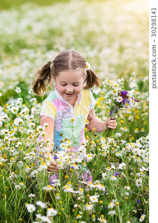 Little girl picking flowers in daisy field 30298141