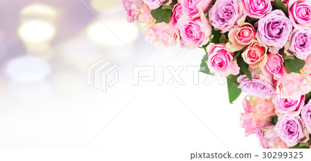 bouquet of fresh roses 30299325