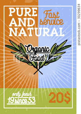 Color vintage organic food banner 30299634