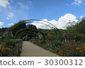 Monet's garden 30300312