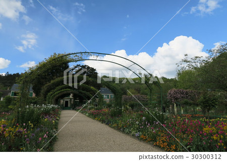 Monet's garden 30300312