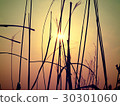 側影 30301060