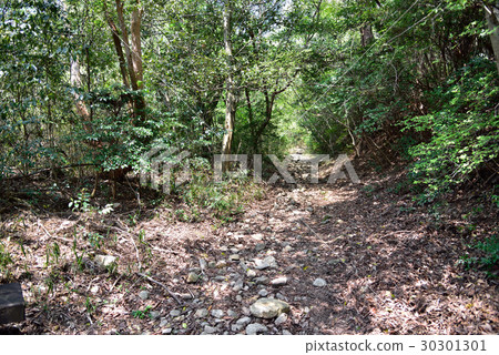 Rokko Mountain Stone Path 30301301
