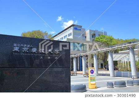 Tokyo University of Agriculture and Technology Koganei Campus 30301490