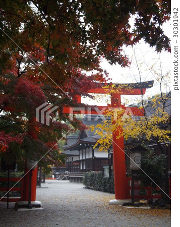 Shimogamo神社_西入口 Shimogamo神社_西入口 30301942