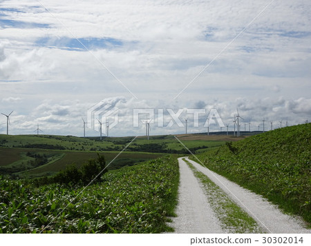 Contrast between green and white 30302014