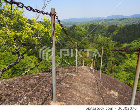 Chichibu-kanosawa Gomen Rabbit 30302076