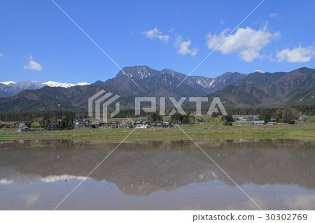 Spring rice planting at Azumino Spring rice planting at Azumino 30302769