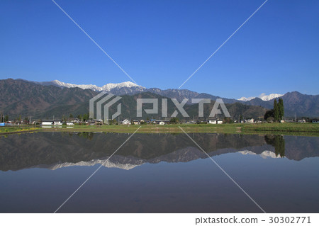 Spring rice planting at Azumino Spring rice planting at Azumino 30302771