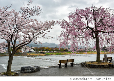 Oriegawa·Katsuragawa和Nakanosima Park 30303136