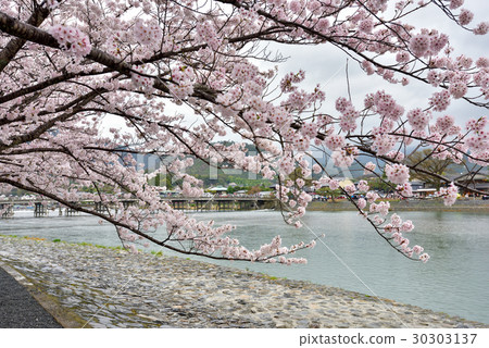 Oriegawa · Katsuragawa and Nakanosima Park 30303137