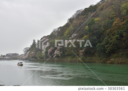 Sagano Arashiyama Katsuragawa（奧尤河）和櫻花 30303561