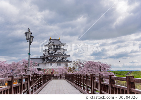 Sakamata Ichiyoshi Cherry Blossoms of Saikawa Tsuki Cherry Blossoms Taeba Genkai Bridge 30304326