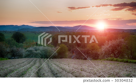 summer sunset summer sunset 30304832