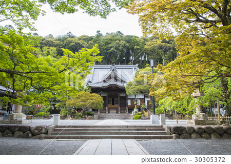 Shuzenji, the fresh green Shuzenji, the fresh green 30305372