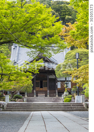 修善寺,清新的綠色 修善寺,清新的綠色 30305373