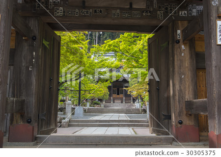 修善寺,清新的綠色 修善寺,清新的綠色 30305375