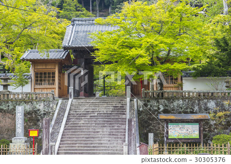 修善寺，清新的綠色 30305376