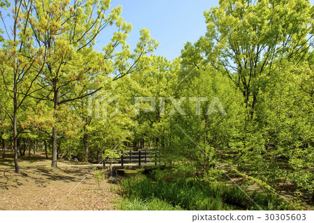 新鮮的綠色花商展紀念公園 30305603