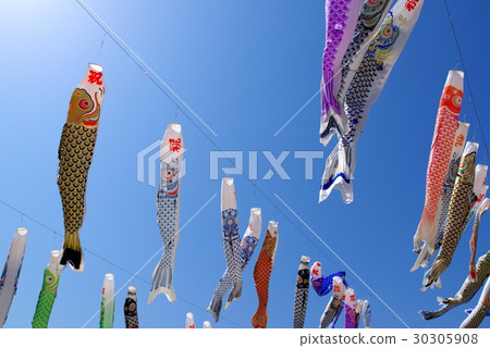 Many carp streamers swim in the blue sky f Many carp streamers swim in the blue sky f 30305908