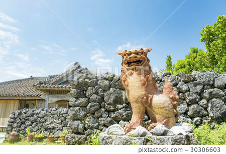 Shisa 1 30306603