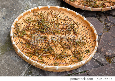 Drive the spring 30306627