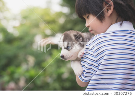 Cute asiaan child holding siberian husky Cute asiaan child holding siberian husky 30307276