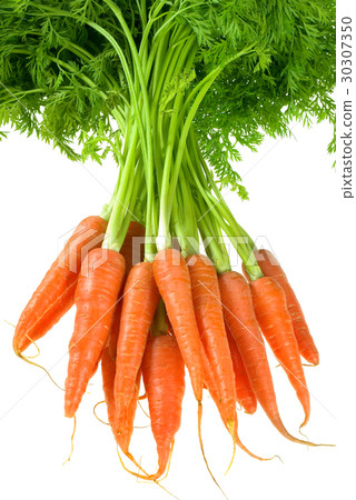 carrot 30307350