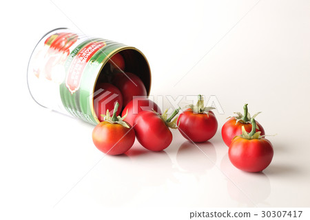 Tomato Tomato 30307417