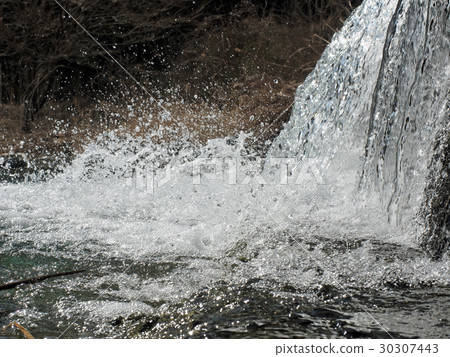 Splashes Splashes 30307443
