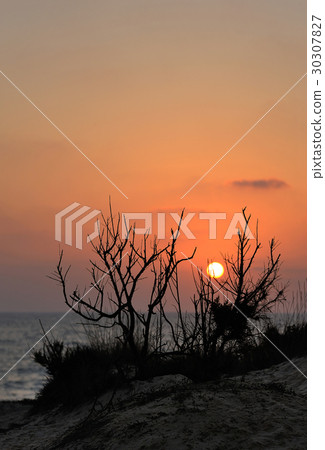 Mediterranean Coast Israel 30307827