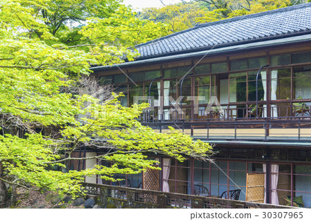 清新的綠色和日式旅館 30307965
