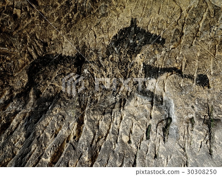 Black carbon horses on sandstone cave wall Black carbon horses on sandstone cave wall 30308250
