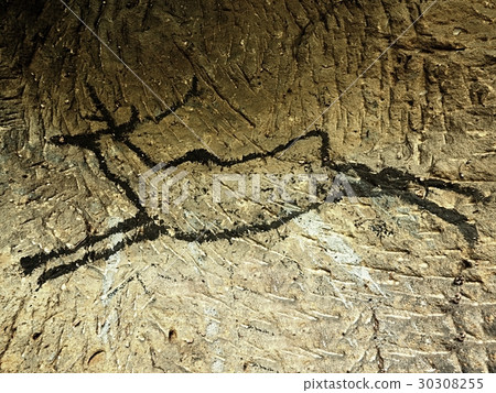 Caveman symbols on wall. Paint of human hunt Caveman symbols on wall. Paint of human hunt 30308255