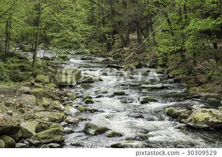Landscape with river Bode in the Harz area 30309529