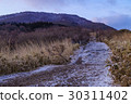 晨光和山路 30311402
