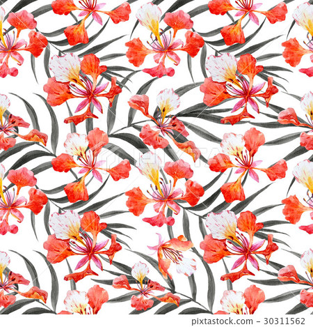 Watercolor floral pattern Watercolor floral pattern 30311562