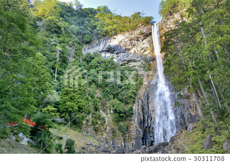 Nachi Otaki 30311708