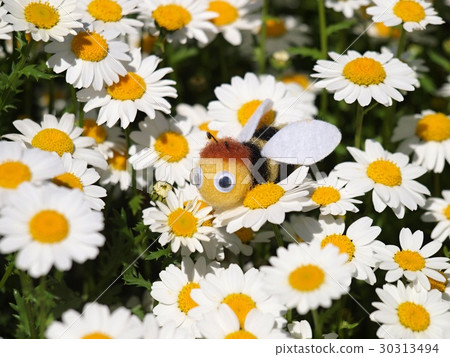 Margaret and bee mascot beside Margaret and bee mascot beside 30313494