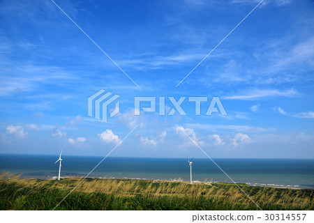 海 海 30314557