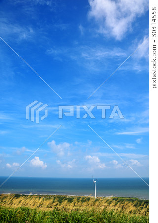 海 30314558