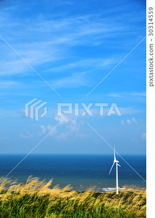 海 海 30314559