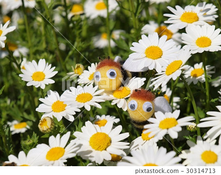 Margaret and bee's mascot horizontally two Margaret and bee's mascot horizontally two 30314713