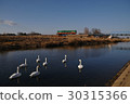 Shiratori and Moka railroad cars of the Koga River 30315366