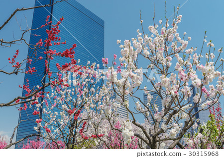 Taoyuan and Business Park 30315968